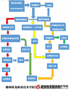 學生就業(yè)推薦流程